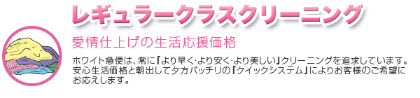 レギュラークラスクリーニング