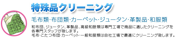 特殊クリーニング